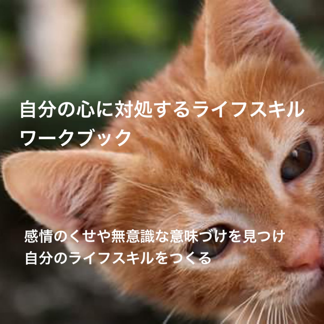 自分の心に対処するライフスキル創ります セミナーで使うワークブックを使ってください イメージ2