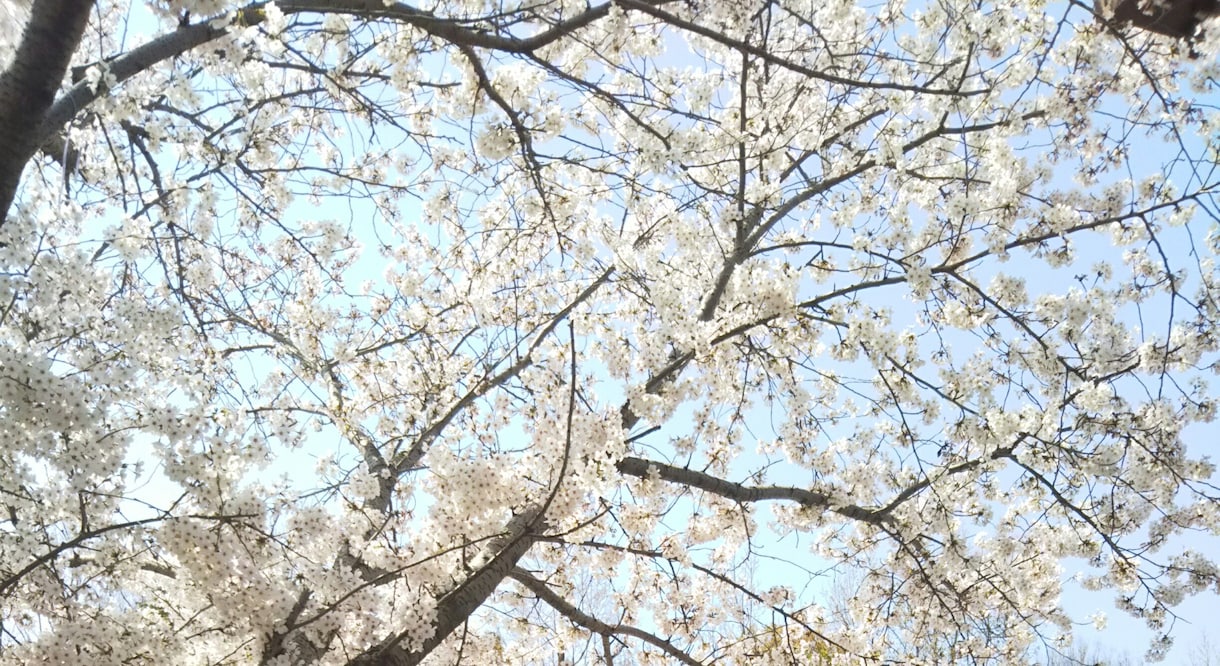 妊娠、子育ての話したい事、とことんお聞きします 家族や友人には話しにくいけれど、とにかく誰かに聞いてほしい方 イメージ2