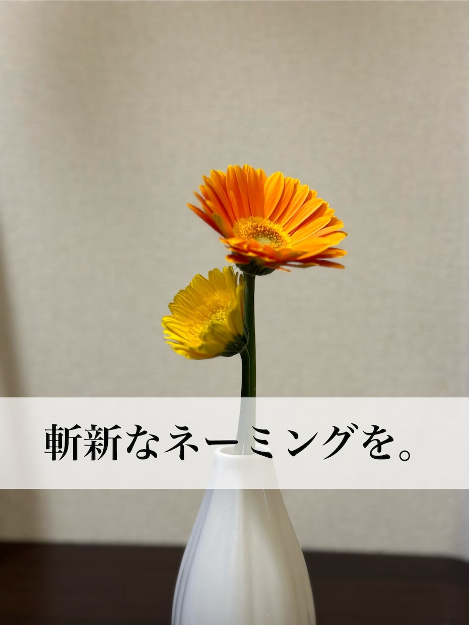 一度見れば脳に残るネーミングを考えます 商品開発、企画などで斬新なネーミングを欲している方へ。 イメージ1