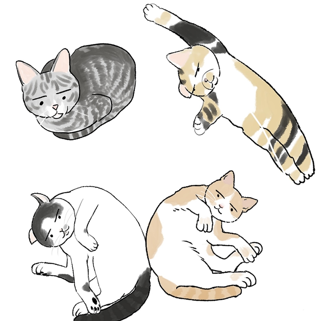 ペット、動物のイラスト作成します シンプルな似顔絵はこのお値段でお受けしてます！ イメージ1