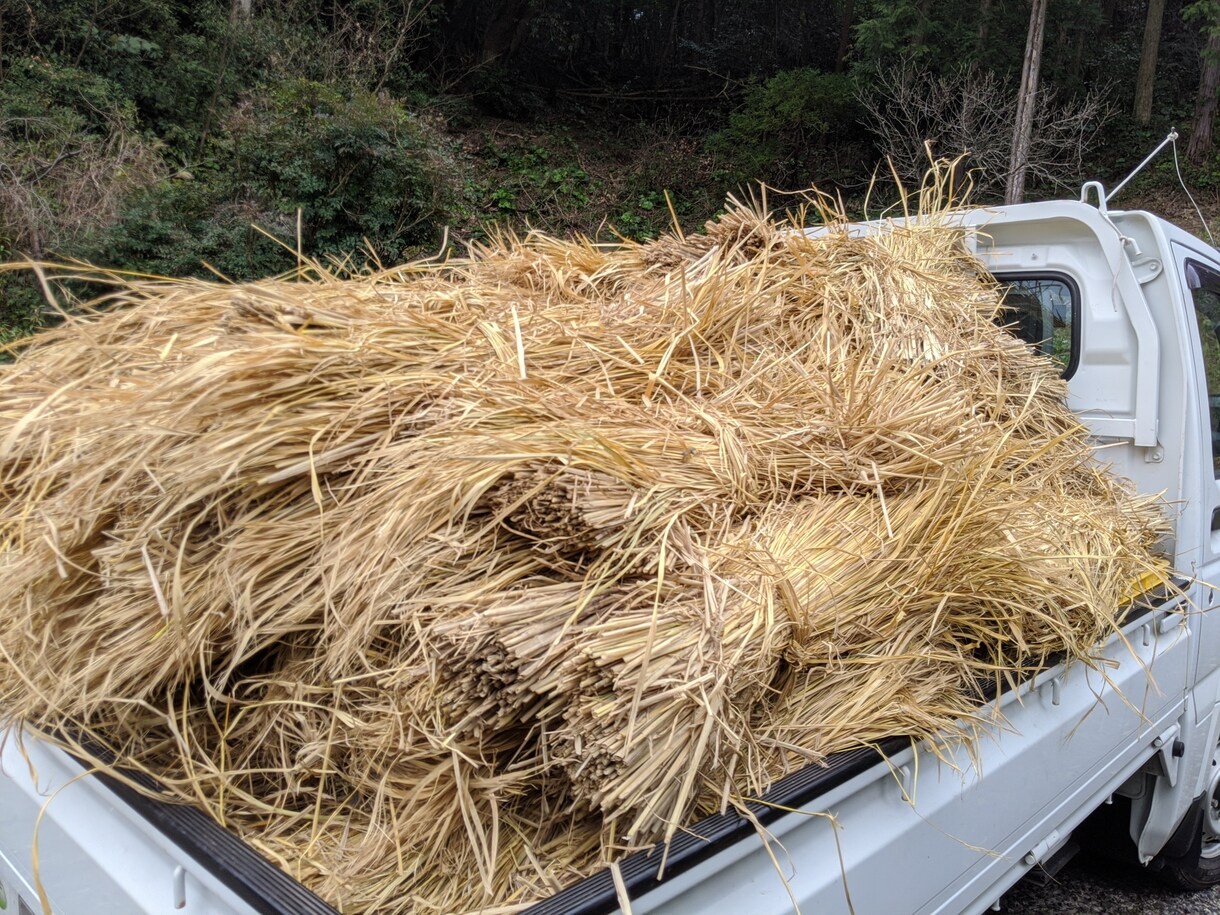 熊本の田舎ならではの写真を撮ります 田舎の写真が欲しい！や旅行で撮り忘れた！時に！ イメージ3