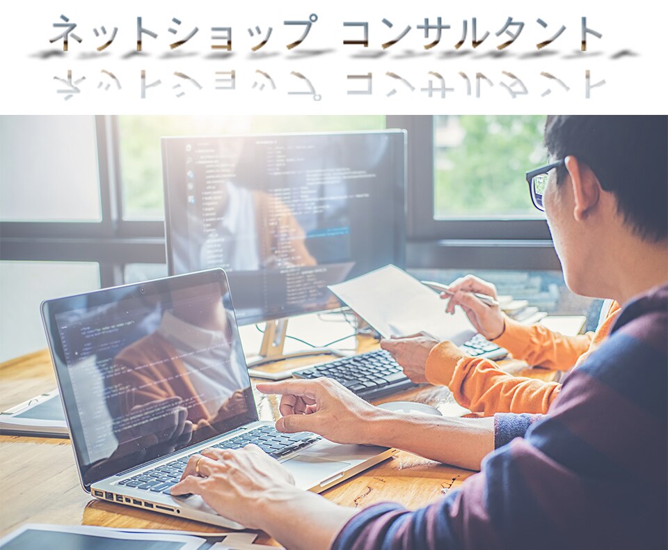 ネットショップ売上UPを目指すコンサルを行います まだスタートしたばかりの店舗や売り上げ0円でもご指導します。 イメージ1