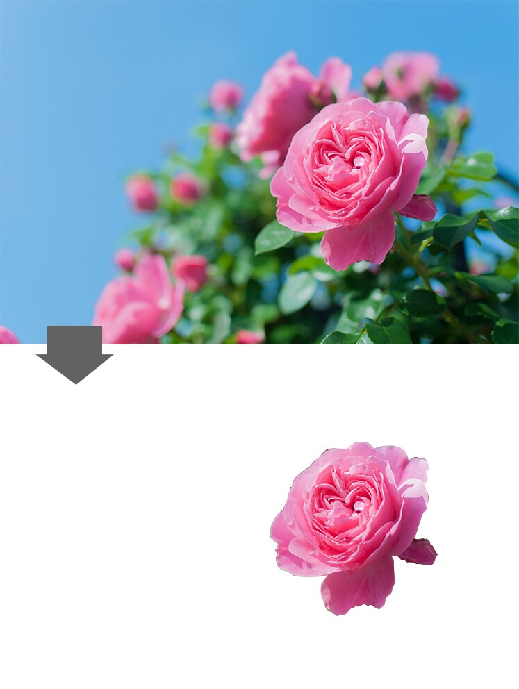 画像・写真切り抜きます 商品画像や画像合成の素材づくりをお求めの方へ イメージ2