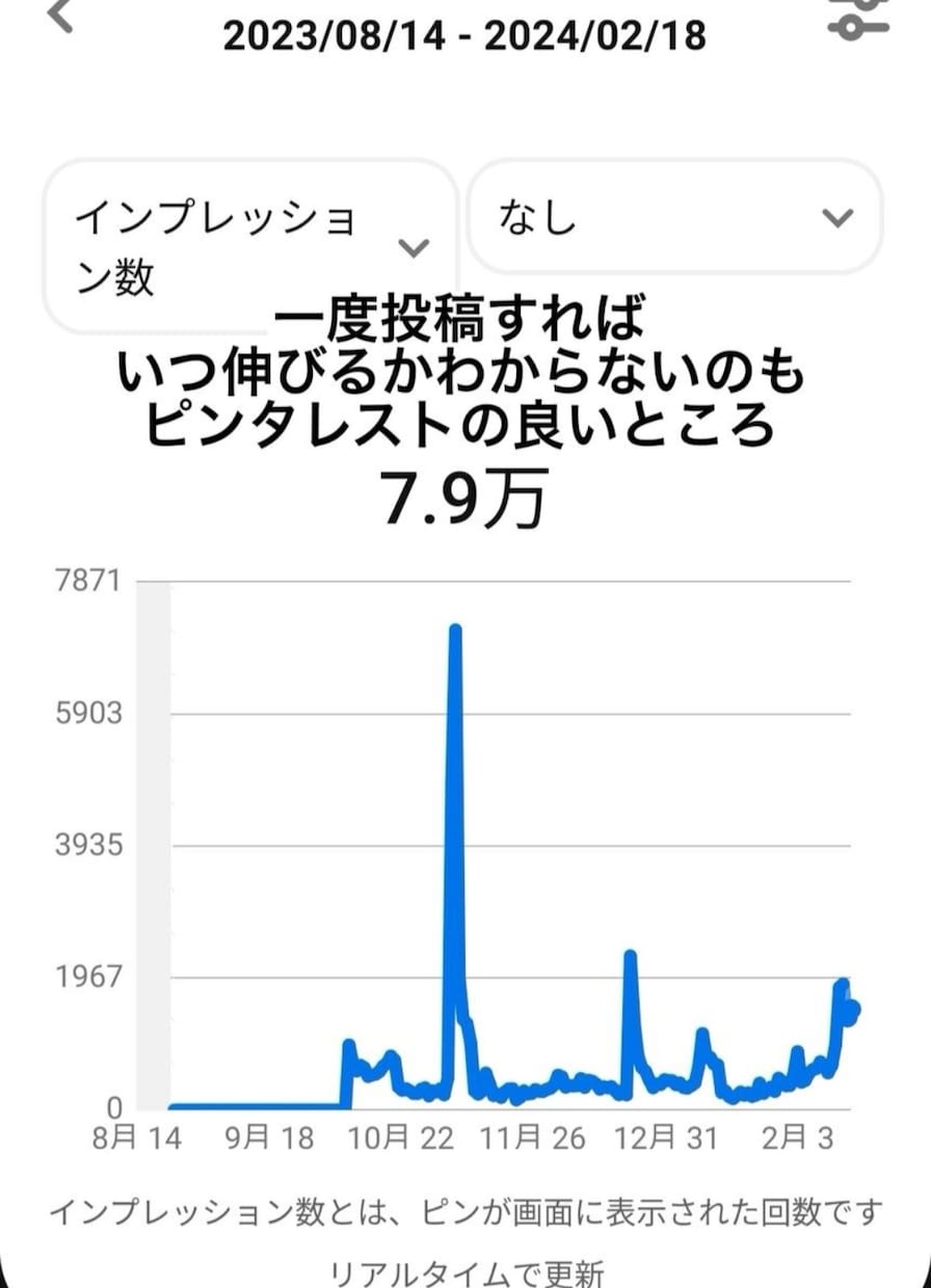 お試し！14日間ピンタレスト運用代行します ピンタレストでビジネス成長を加速！視覚的魅力を最大限に！！ イメージ9
