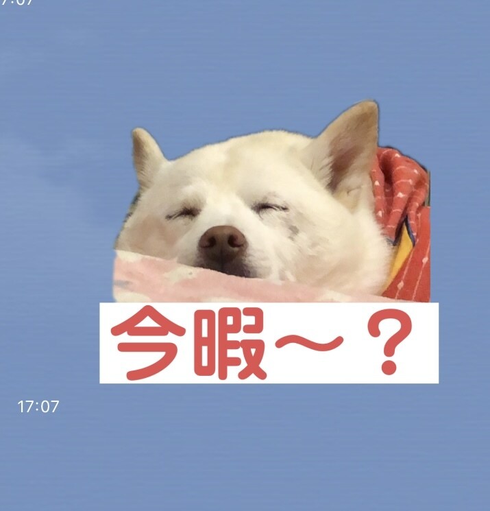 お気に入りの写真でLINEスタンプ作成します 愛するペットやお子さんの写真をLINEスタンプにしませんか？ イメージ2