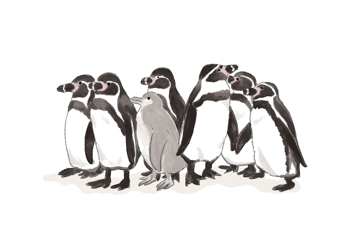 ペット、動物のイラスト作成します シンプルな似顔絵はこのお値段でお受けしてます！ イメージ3