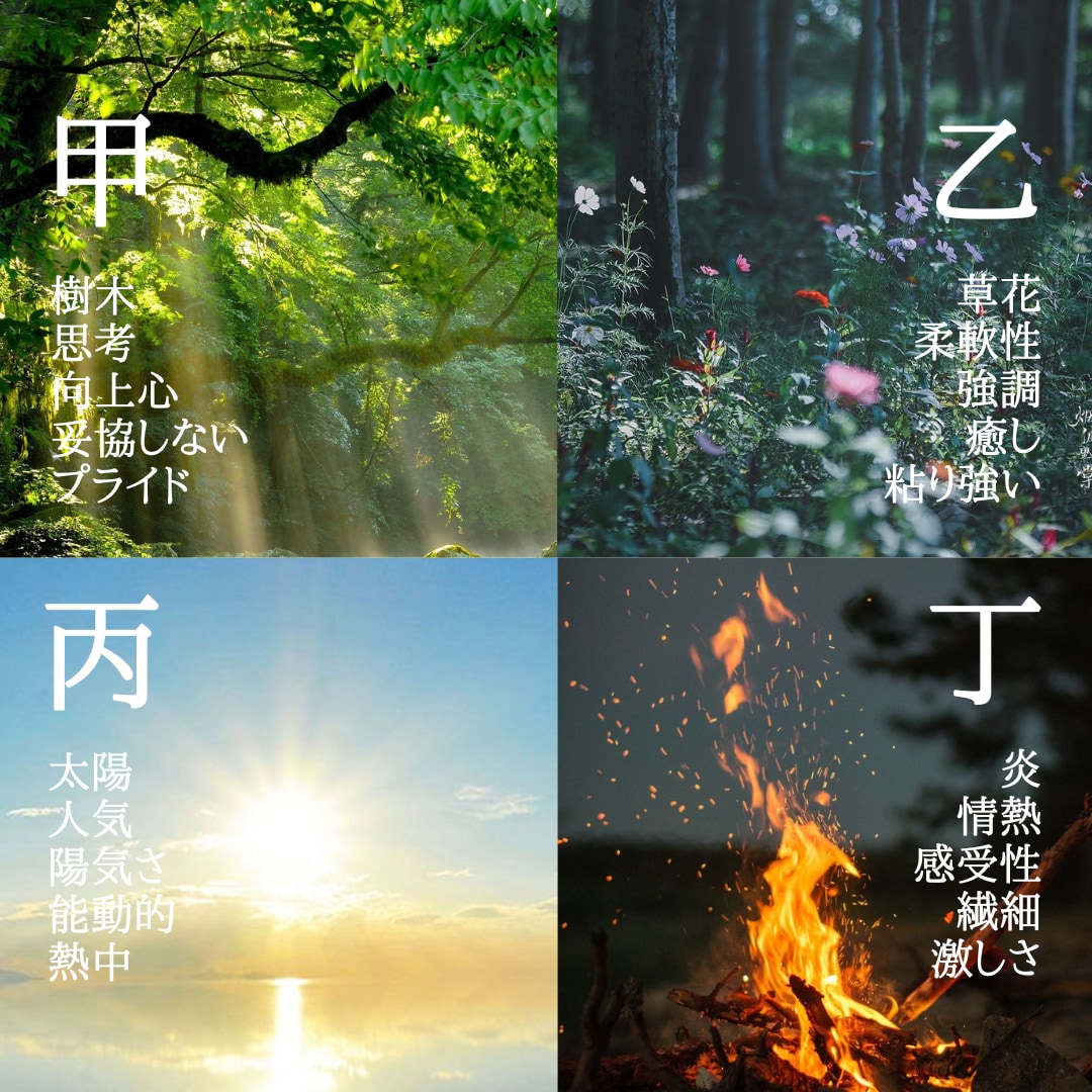 四柱推命・紫微斗数を用い多角的に人生を占います 〜人生を切り開くお手伝いをします〜 イメージ2