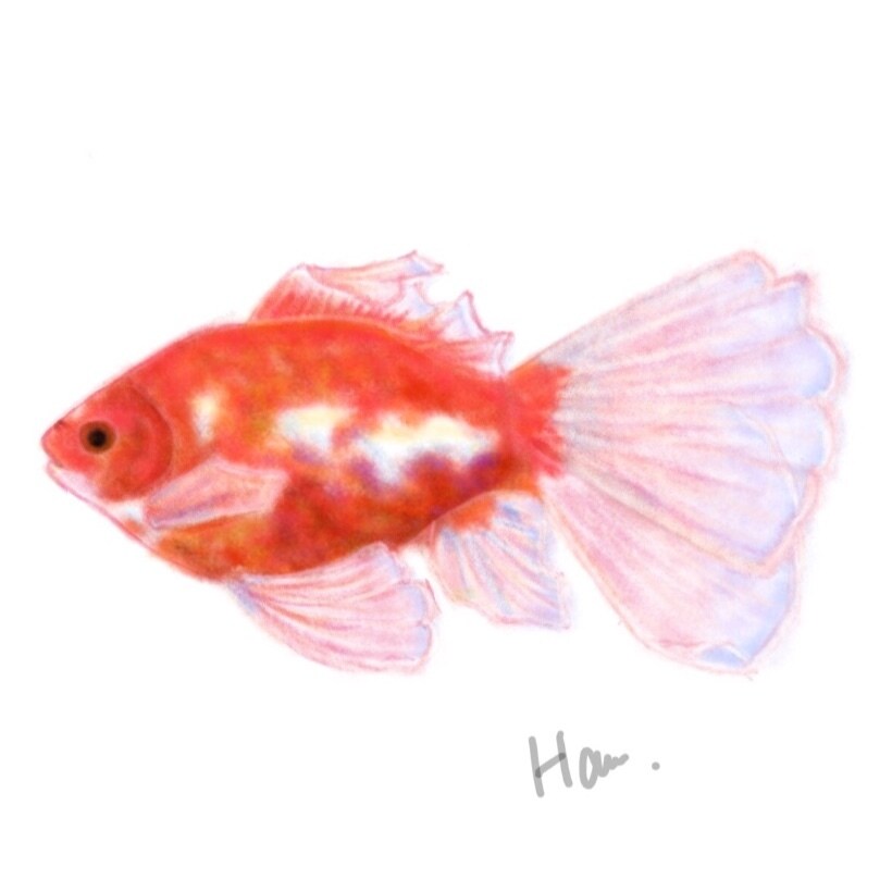 程よくリアルで暖かみのあるイラスト描きます 商用案件から個人観賞用まで 生き物を中心に描きます イメージ5