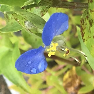 辛いお気持ちを軽く、楽にします 心に寄り添い、あなたが一歩踏み出せるカウンセリング イメージ9