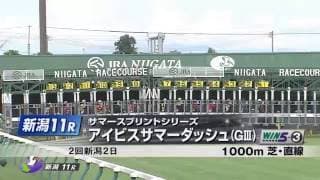 全力投球！アイビスの日のレース全レース予想します 年に一度の新潟祭典レースを盛り上げましょう！ イメージ1