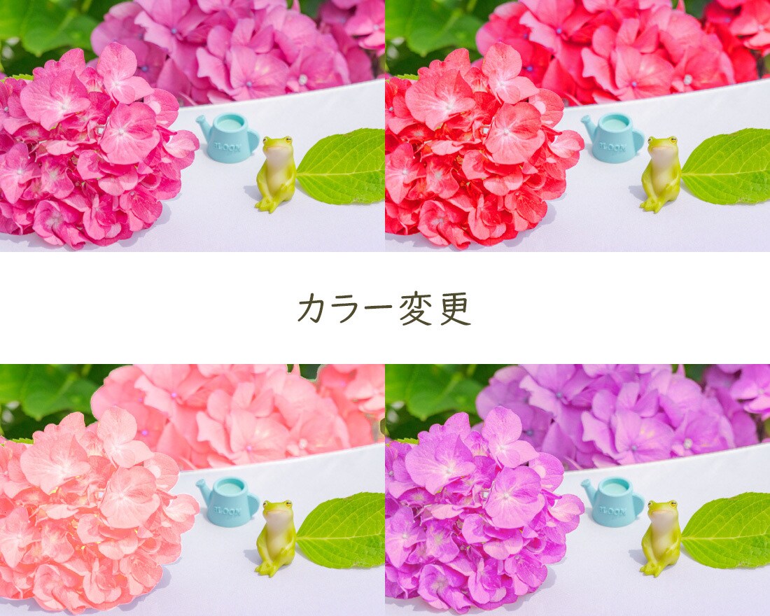 画像合成・レタッチ・切り抜き・人物補正など承ります Photoshopで画像加工致します！ イメージ4