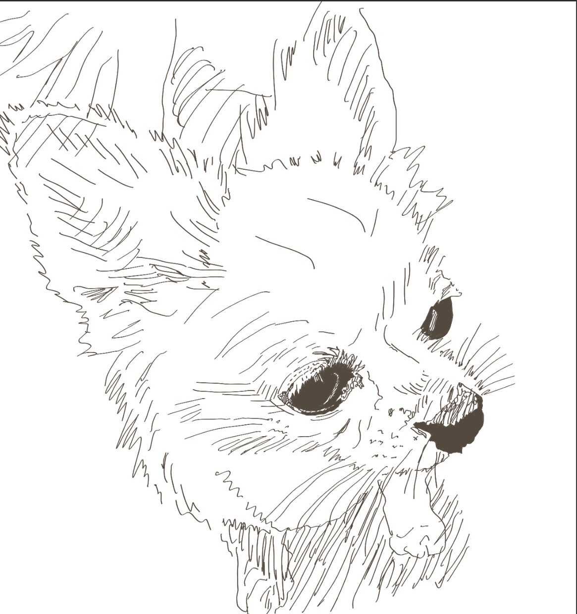 待ち受け　アイコン作成しかわいいイラスト描きます 猫が好き。可愛いイラスト、アイコン作成します。 イメージ2