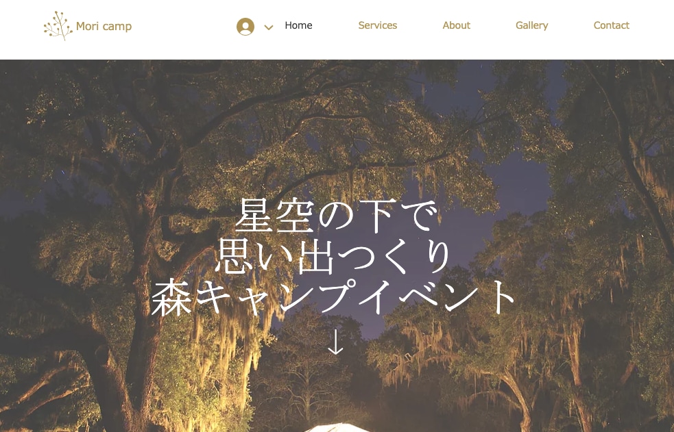 格安でおしゃれなホームページ制作します 何度でも修正OK！WIXで高品質で長く使えるHPお作りします イメージ4