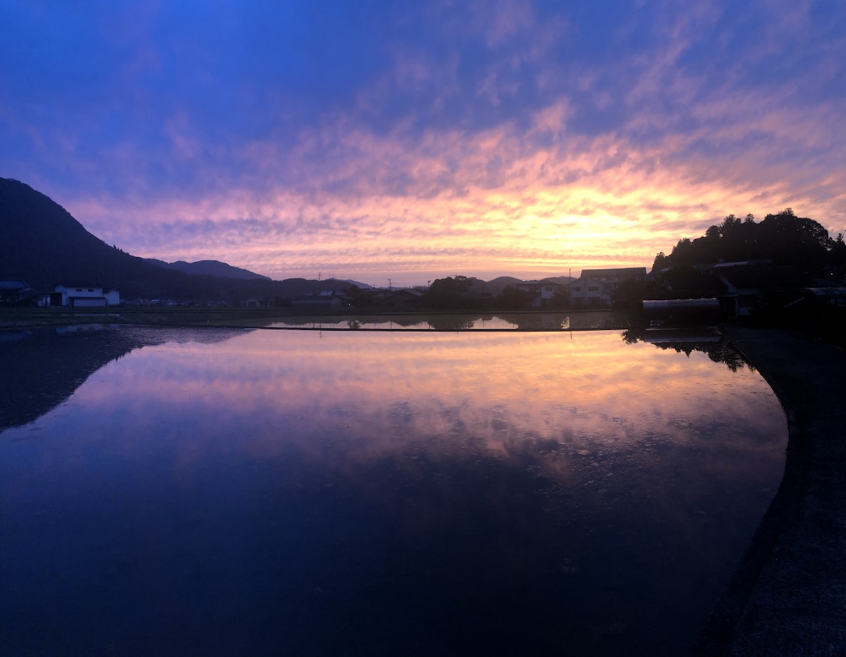 田舎ならではの風景撮影代行いたします 田園、畑、山etc都会では撮影できない景色をお届けします イメージ4