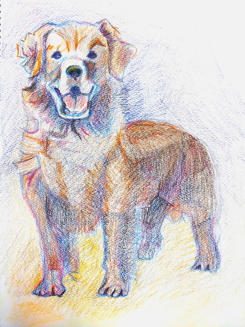 リアルで可愛いペットの肖像画をノリノリで描きます 皆様が愛するペットをふわふわリアルでご提供♪ イメージ4