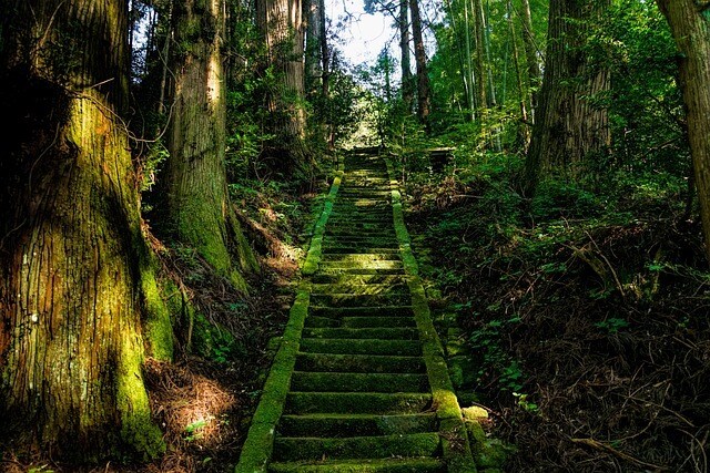 恋愛成就※気になるあの人とのご縁を霊視します ※霊魂に呼びかけ片思いや復縁の悩みを解放する『恋愛霊魂鑑定』 イメージ7