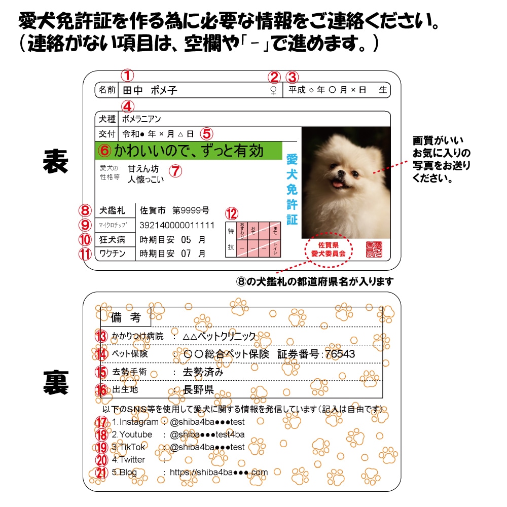 身分証情報を持ち歩く、可愛い愛犬免許証を作ります 本物の免許証とほぼ同サイズなので財布に入れて持ち歩きやすい♪ イメージ4