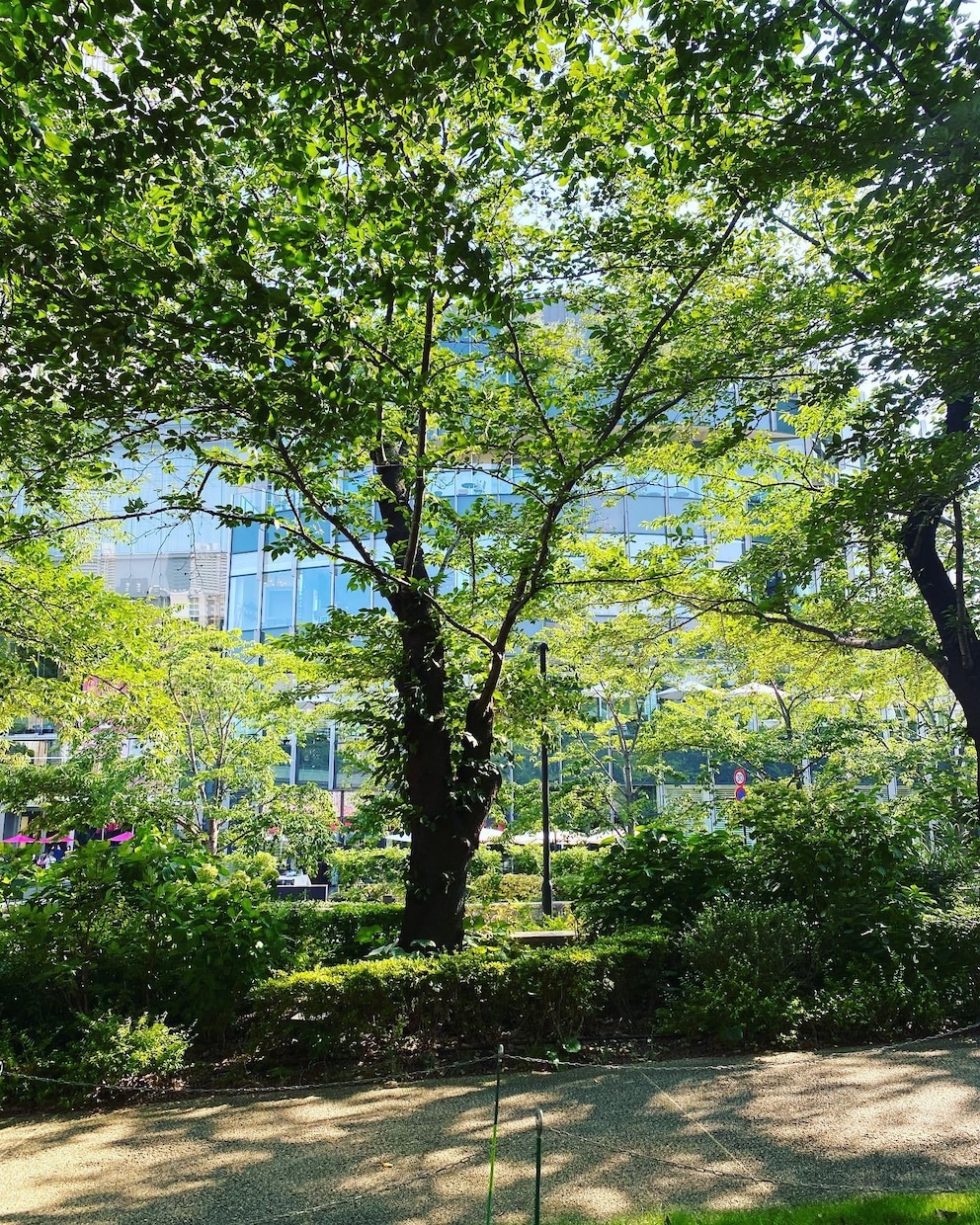愚痴、お悩み、お喋り、なんでも気軽にお話し頂けます 障害福祉従事者があなたのお話を秘密厳守でお聞きします。 イメージ2