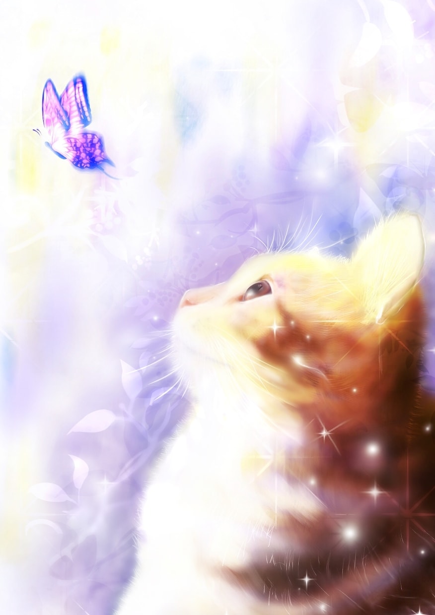 お写真からペットの可愛い似顔絵を描きます 絵本の1ページのような心温まるイラストにお仕上げします！ イメージ4