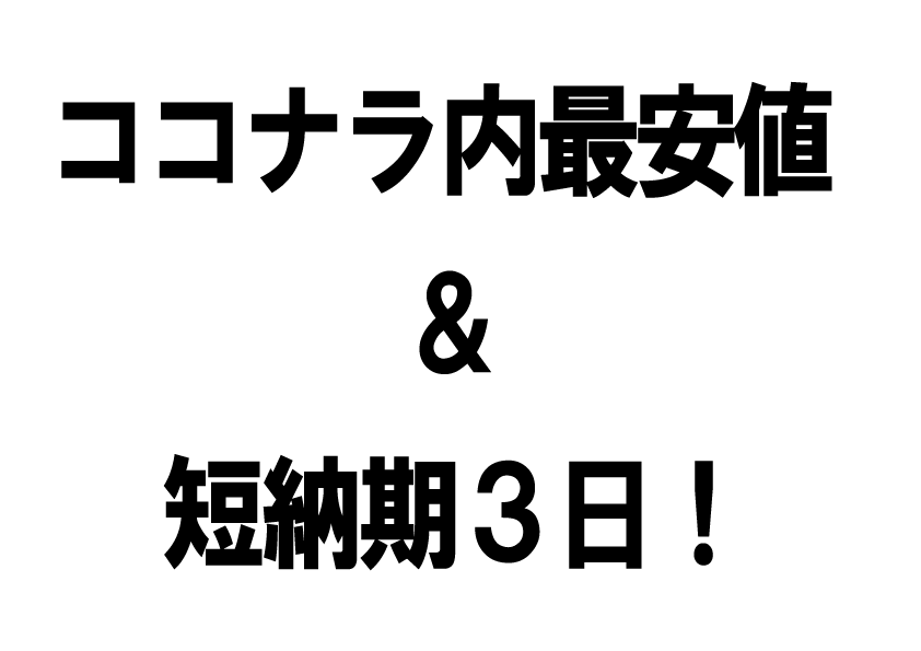 必要なもの全部入りWordPressブログ作ります 【短納期3日】初心者OK、ロゴ・説明書・アフターサポート付 イメージ8