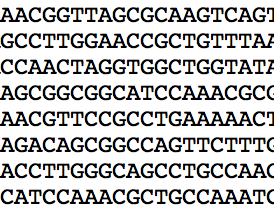 DNA・アミノ酸配列から特定の配列をお探しします かゆい所に手が届く便利なサービスです！ イメージ1
