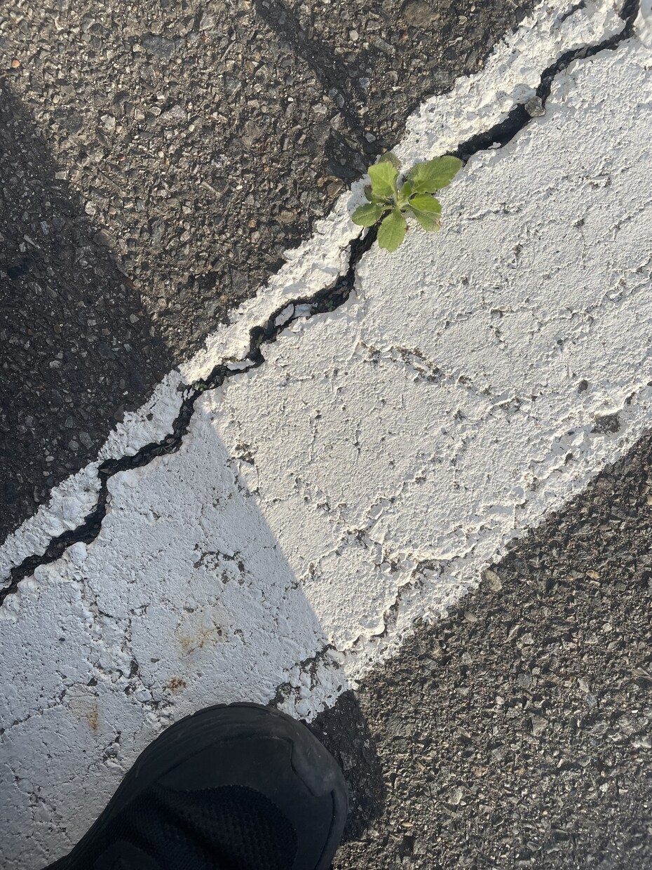 双極性障害・摂食障害などのあなたに心に寄り添います 波があっても大丈夫。あなたのペースに合わせて、寄り添います。 イメージ3