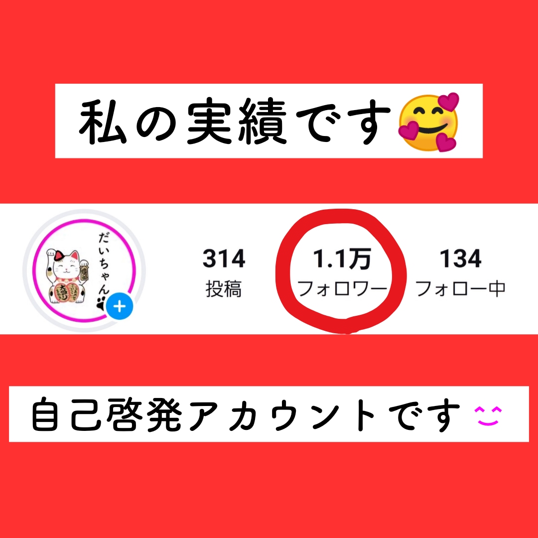30日間限定！！インスタのコンサルをします ｜１万フォロワー達成者が無制限でチャットします！！ イメージ3