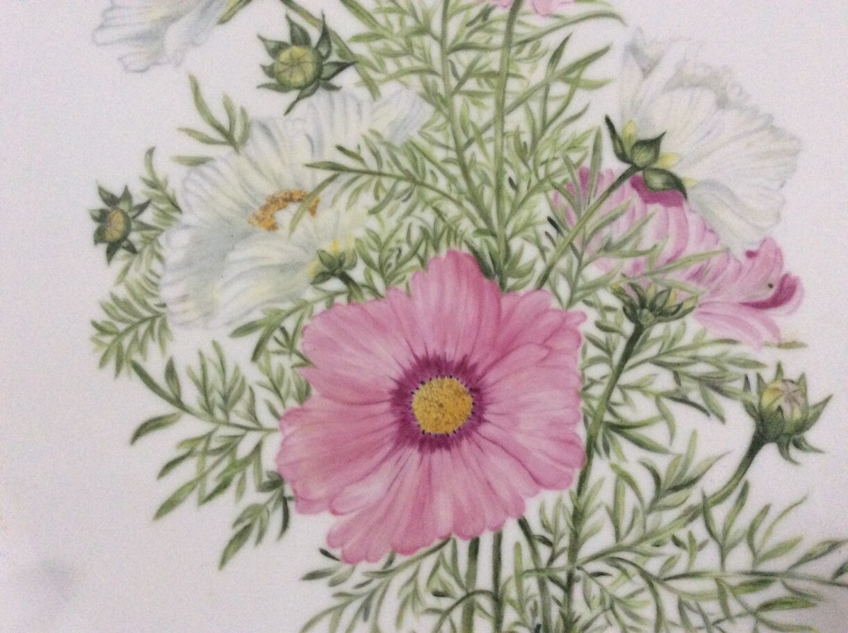 暑い夏が過ぎ秋がようやく訪れてきます 野山には秋の花々が咲き乱れてコスモス畑も満開です イメージ3