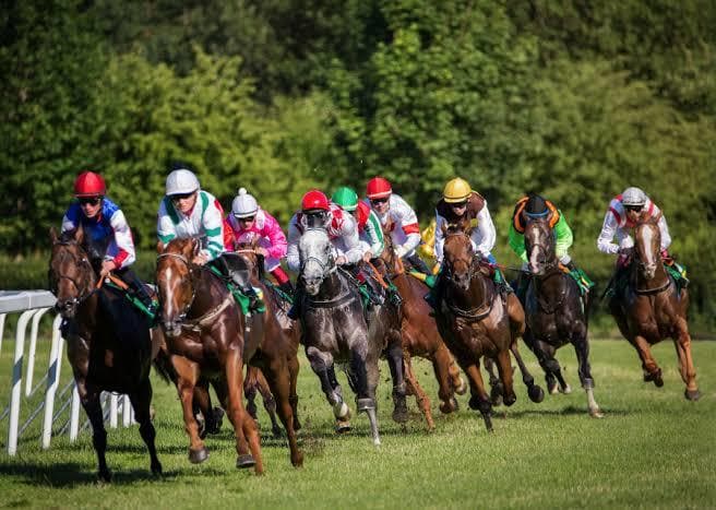 毎週競馬の穴馬など有力な情報を流します レースごとに来る確率が高い馬を提供させてもらいます イメージ2