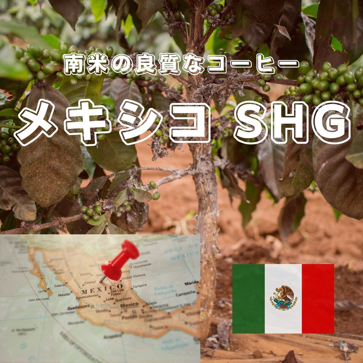Amazonカタログ作成+広告+SEO行います カタログ作成から販促サポートまで致します。 イメージ2