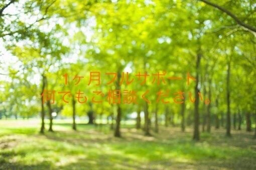 新卒学生向けに就活を1ヶ月全面サポートします 外資日系志望大歓迎。新卒内定多数の筆者が就活全面サポート イメージ1