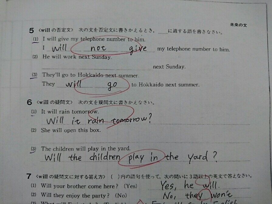 元予備校講師が大人の「やり直し英語」を指導します 【ひと月指導】英語を勉強したいけれど時間の取れないあなたへ イメージ2
