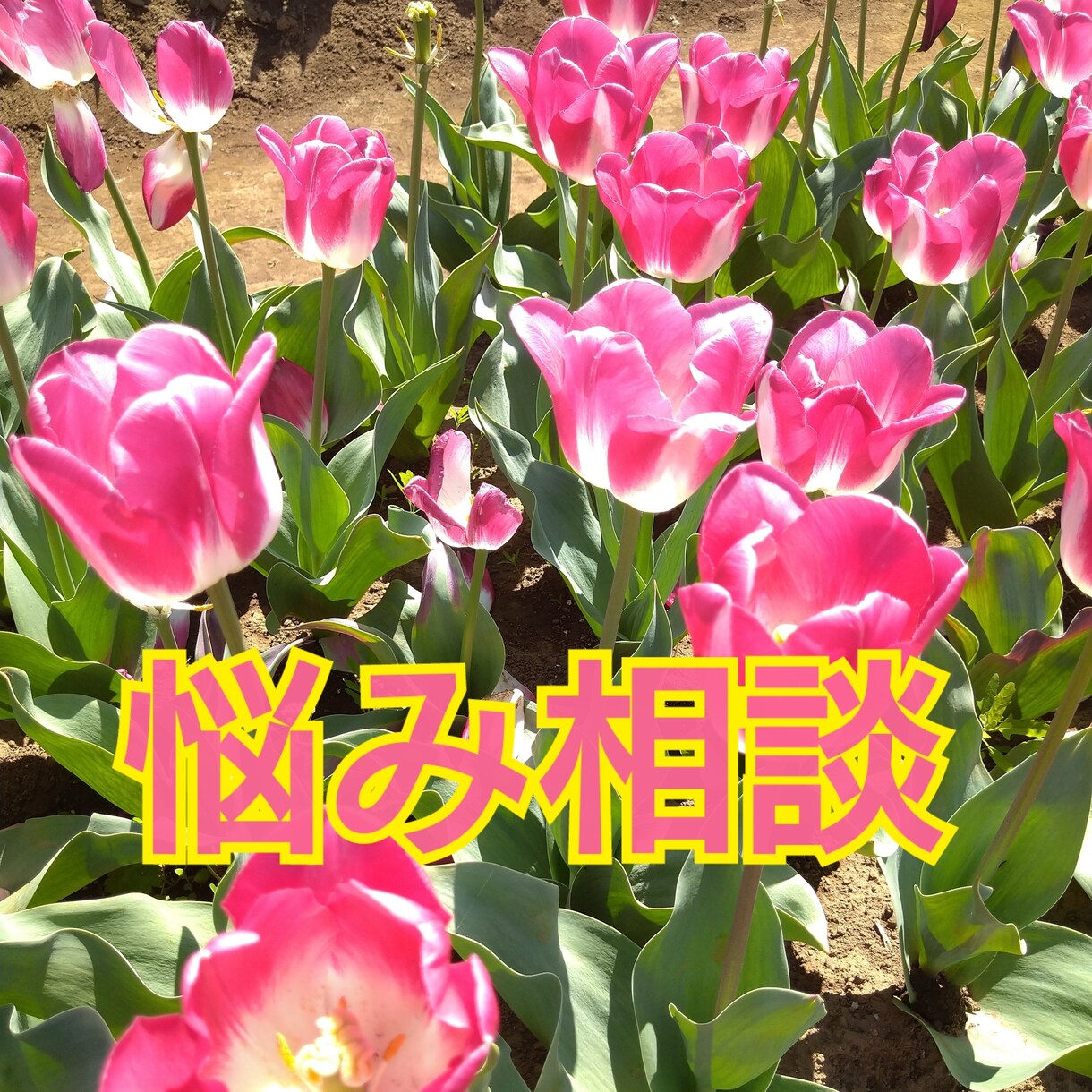 悩み相談聞きます アラフォー主婦がメッセージで悩み相談聞きます イメージ1