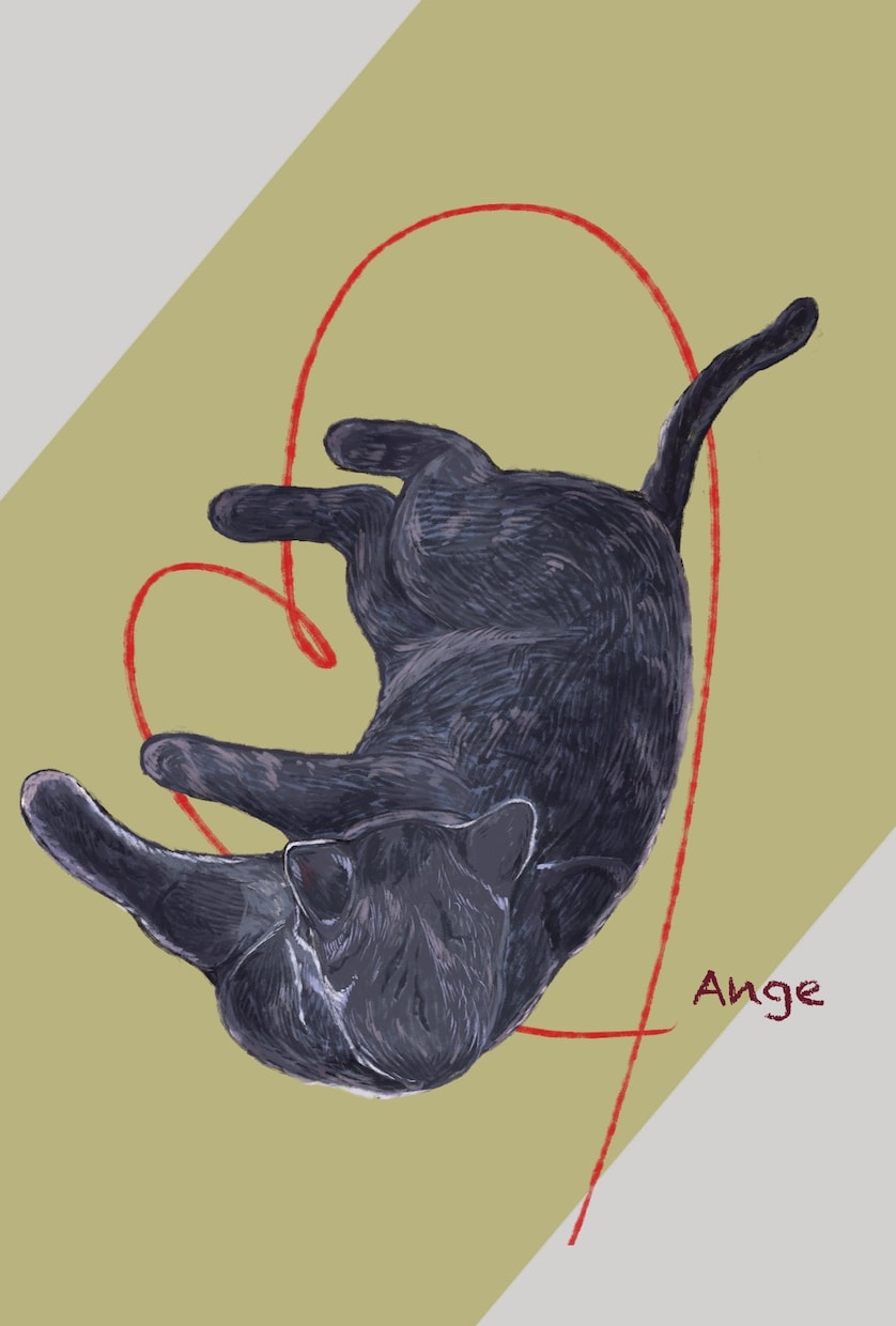 油絵風の暖かい雰囲気の動物を描きます 動物好きによる動物好きのためのイラスト イメージ4