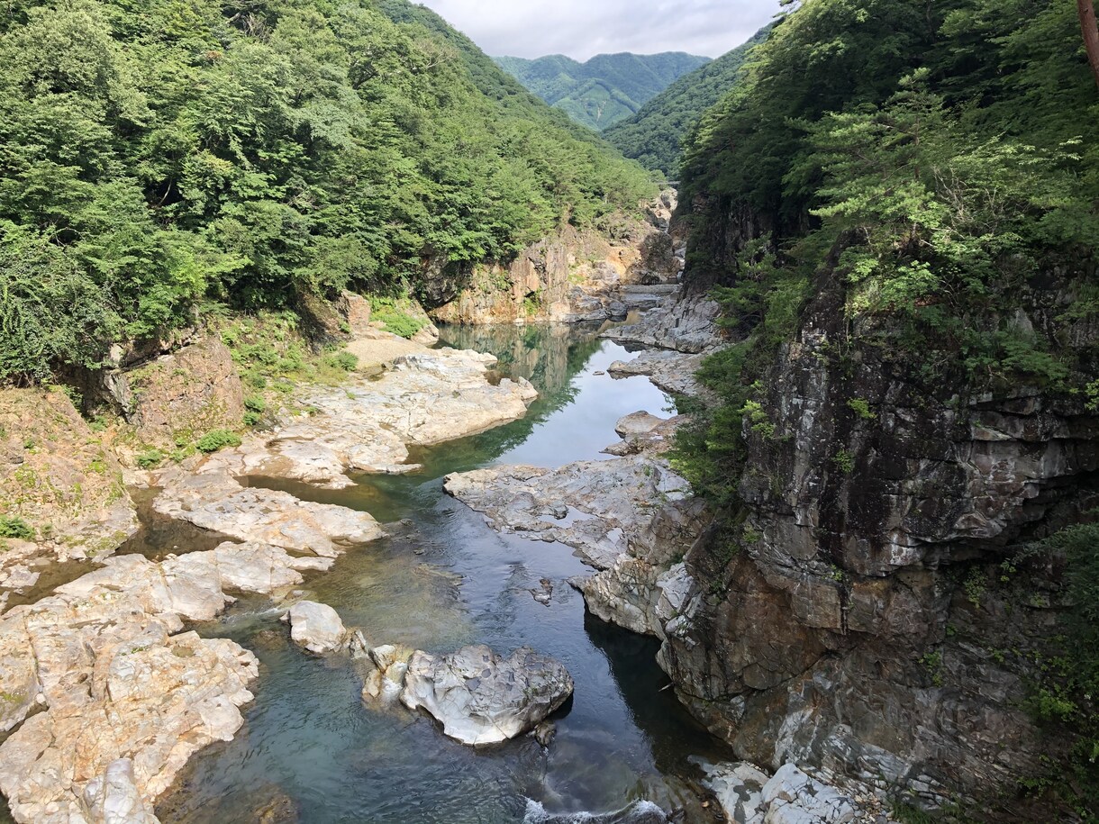 お花の写真メインで提供します お花、風景をメインに写真提供します。 イメージ8