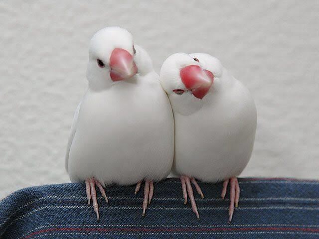 まとまらない気持ち、ただ聞きます 誰にも言えない話、静かに聞きます。 イメージ1