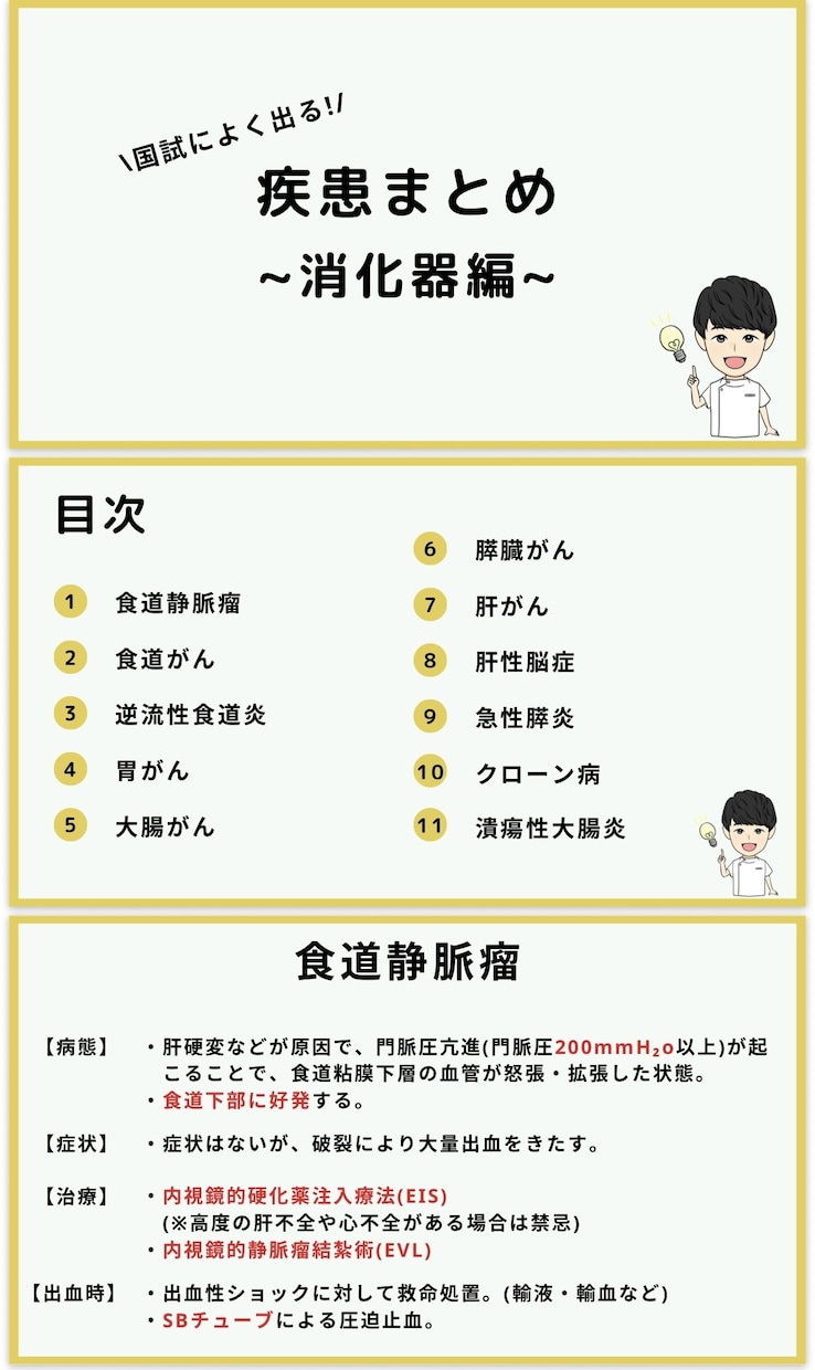 看護師国家試験 | 頻出疾患を徹底理解できます \効率よく勉強したいあなたへ/頻出疾患の要点をまとめた資料！ イメージ6