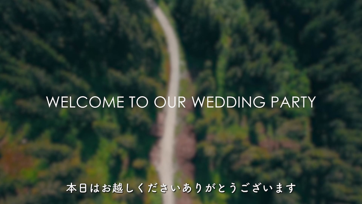 結婚式プロフィールムービー（フォト）作ります 【修正無制限・DVD発送無料】動画制作実績 3400件以上 イメージ2