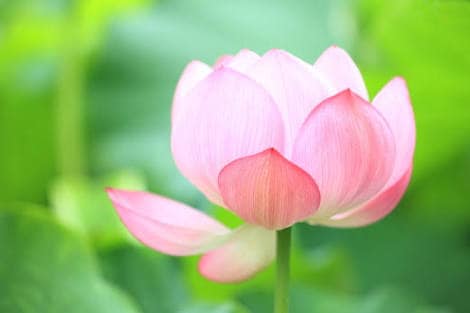 どんな些細な事でもあなたの話し相手になります お悩み相談から暇つぶしまで、身近に相談しづらい方でもお気軽に イメージ2