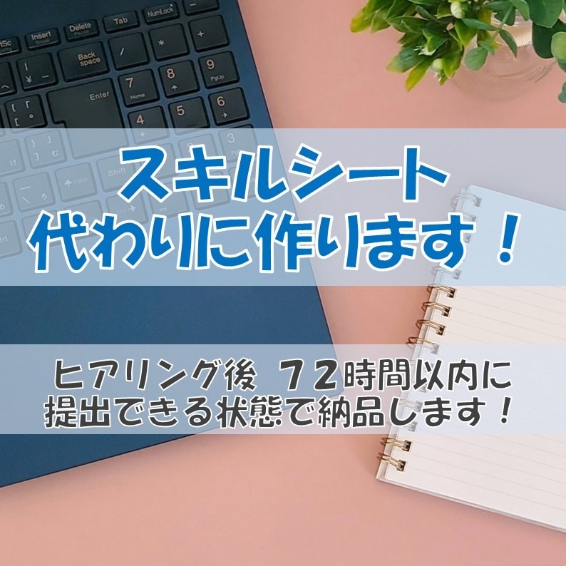 IT職　スキルシート作成、添削、面談対策します 【即日対応可】インフラエンジニア向けスキルシート作成サービス イメージ1