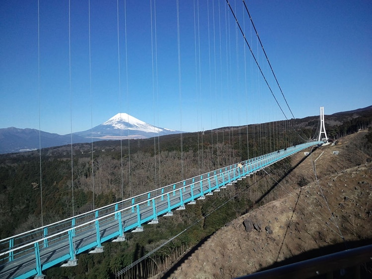 全国制覇者がまとめる！国内旅行をプランニングします ⭐︎現役旅行プランナーが考える⭐︎あなたに合わせたプラン作成 イメージ5