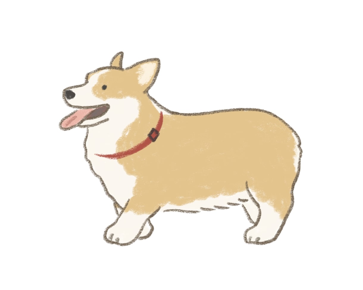 ほんわかシンプルな動物イラスト描きます シンプルだけどあたたかみのあるイラスト作成します イメージ2