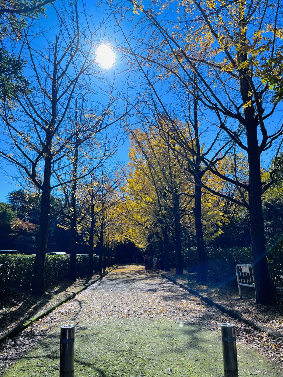 仕事のストレス相談乗ります 悲しい、不安、モヤモヤ、辛い、涙が出る、うつ病、適応障害 イメージ7
