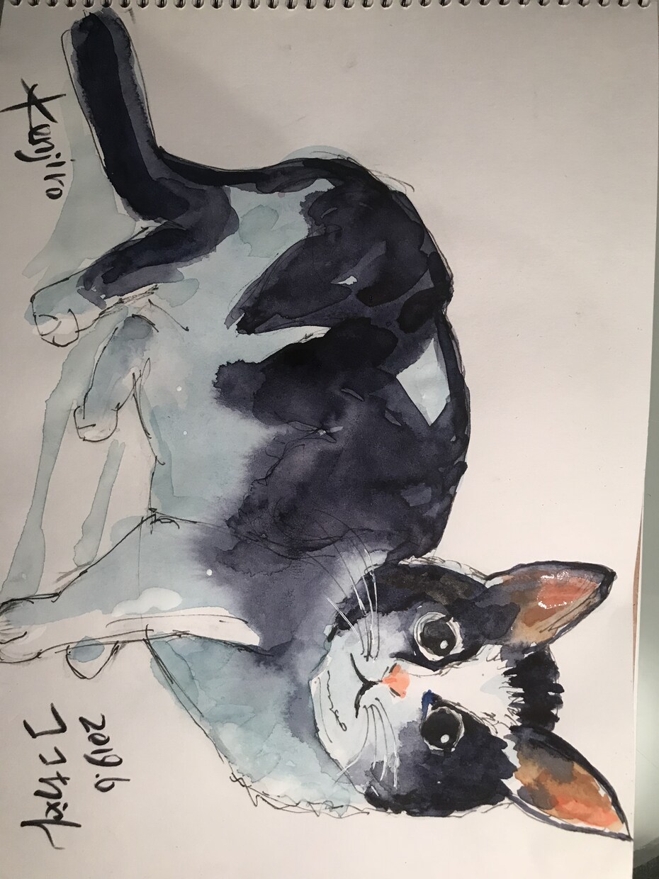 人物画、動物画を水彩画で描きます らしさ、可愛いさ、親しみ感がテーマです。 イメージ2