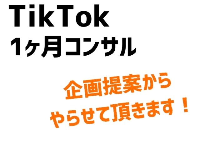 TikTokで成功するためのコンサル&企画をします 【1ヶ月あなたに合った企画提案から運用までサポートします！】 イメージ1