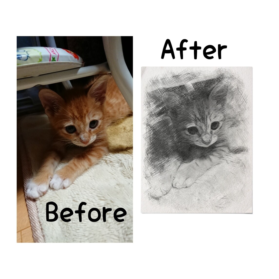 画像をお洒落なスケッチ風(えんぴつ画)に加工します 見馴れた写真もスケッチ風加工でオシャレにSNS映え！ イメージ2