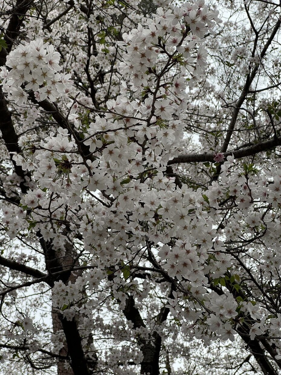 霊視/霊感占術にて「気になる」にお答えします 恋愛/仕事/人間関係/悩みを整理するお手伝いをします イメージ7