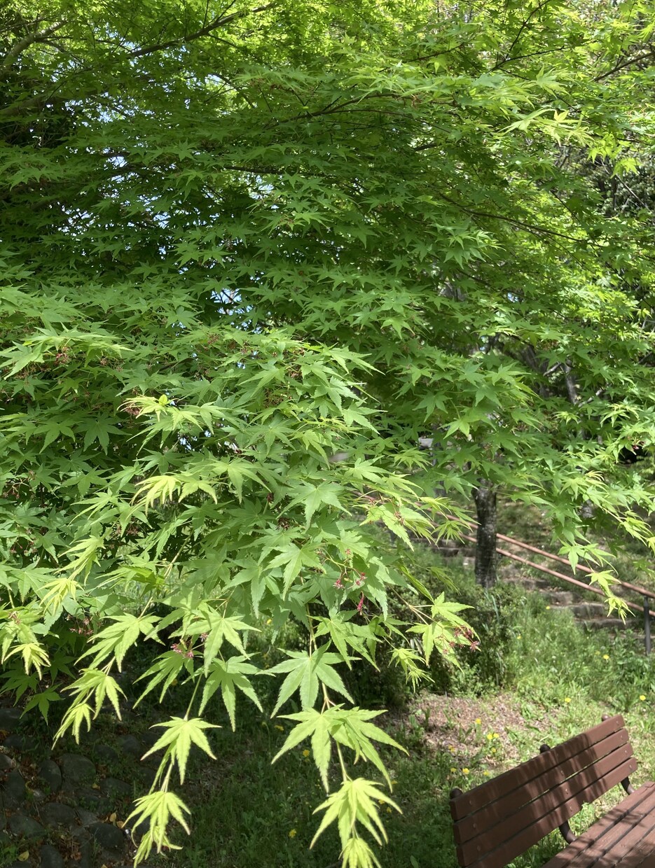 あなたの悩み傾聴いたします どんな些細なことでも構いません イメージ1