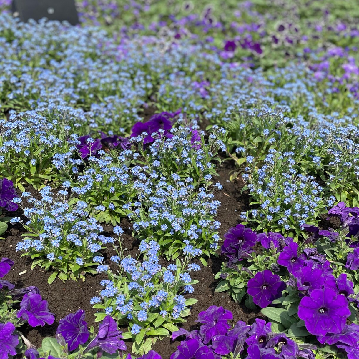 今までに撮った写真を提供します 今までに撮った写真（主に景色）を提供いたします。 イメージ1