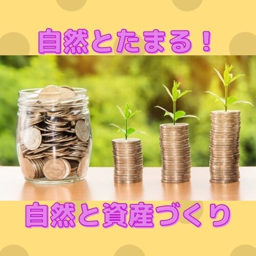 大人気! ライフプラン、マネープラン相談承ります 2週間待ちのライフプランニングをココナラで受けられます! イメージ8